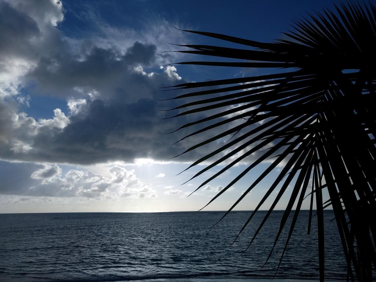 Bela Vista Terrantai Apartamento Maceió